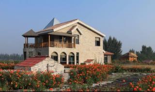 世界上最强大的火车 世界上最强大的火车