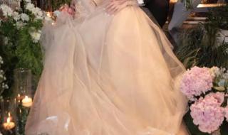 向佐郭碧婷 向佐郭碧婷