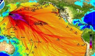 日本核污染水事件始末 日本核污染水事件始末